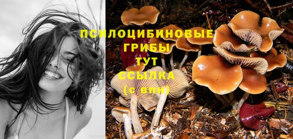 спайс Алексин
