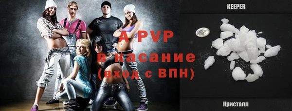 стафф Алзамай