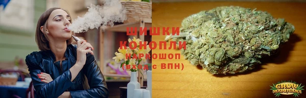 стафф Алзамай