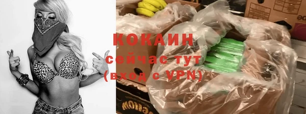 спайс Алексин