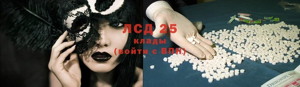 стафф Алзамай