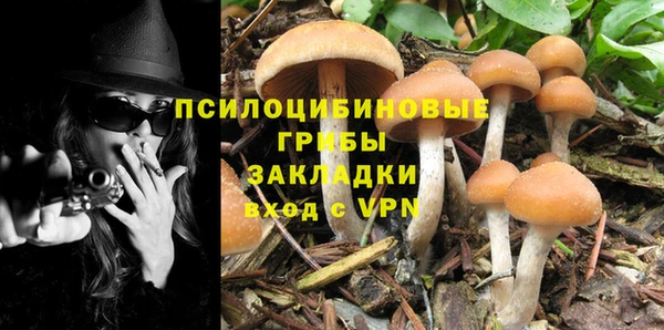 спайс Алексин