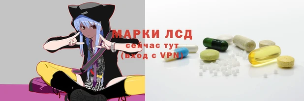 стафф Алзамай