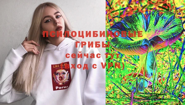 стафф Алзамай