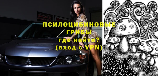 стафф Алзамай