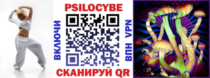 закладка Змеиногорск Галлюциногенные грибы Magic Shrooms